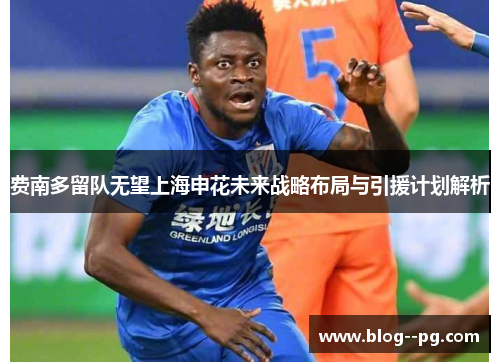 费南多留队无望上海申花未来战略布局与引援计划解析