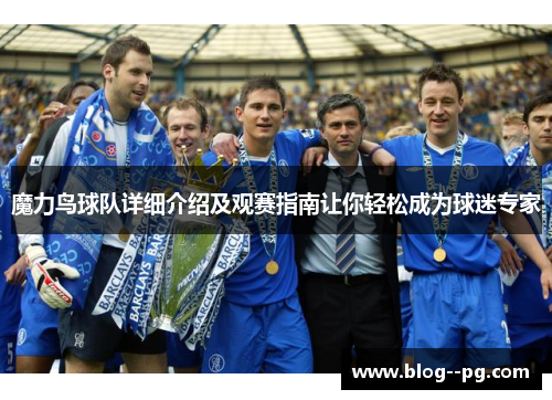 魔力鸟球队详细介绍及观赛指南让你轻松成为球迷专家