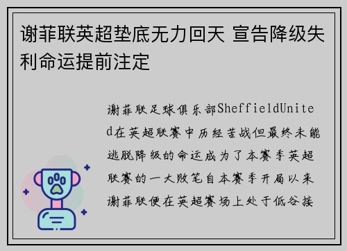 谢菲联英超垫底无力回天 宣告降级失利命运提前注定